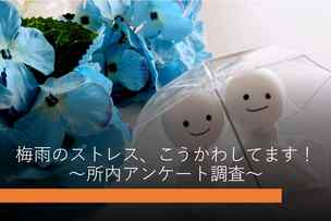 梅雨の乗り越え方